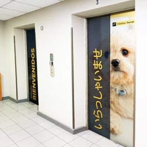 WhatsApp Image 2024-07-26 at 15.46.29